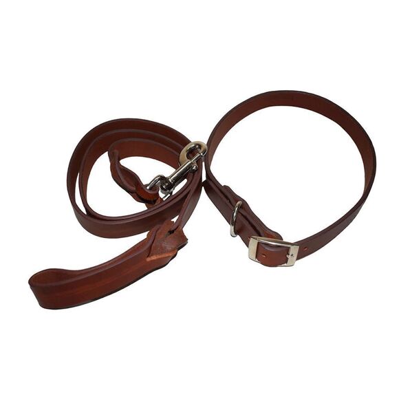 All-in-One Men's Genuine Leather Belt, Dog Collar, and Dog Leash Set - Picture 3 of 12